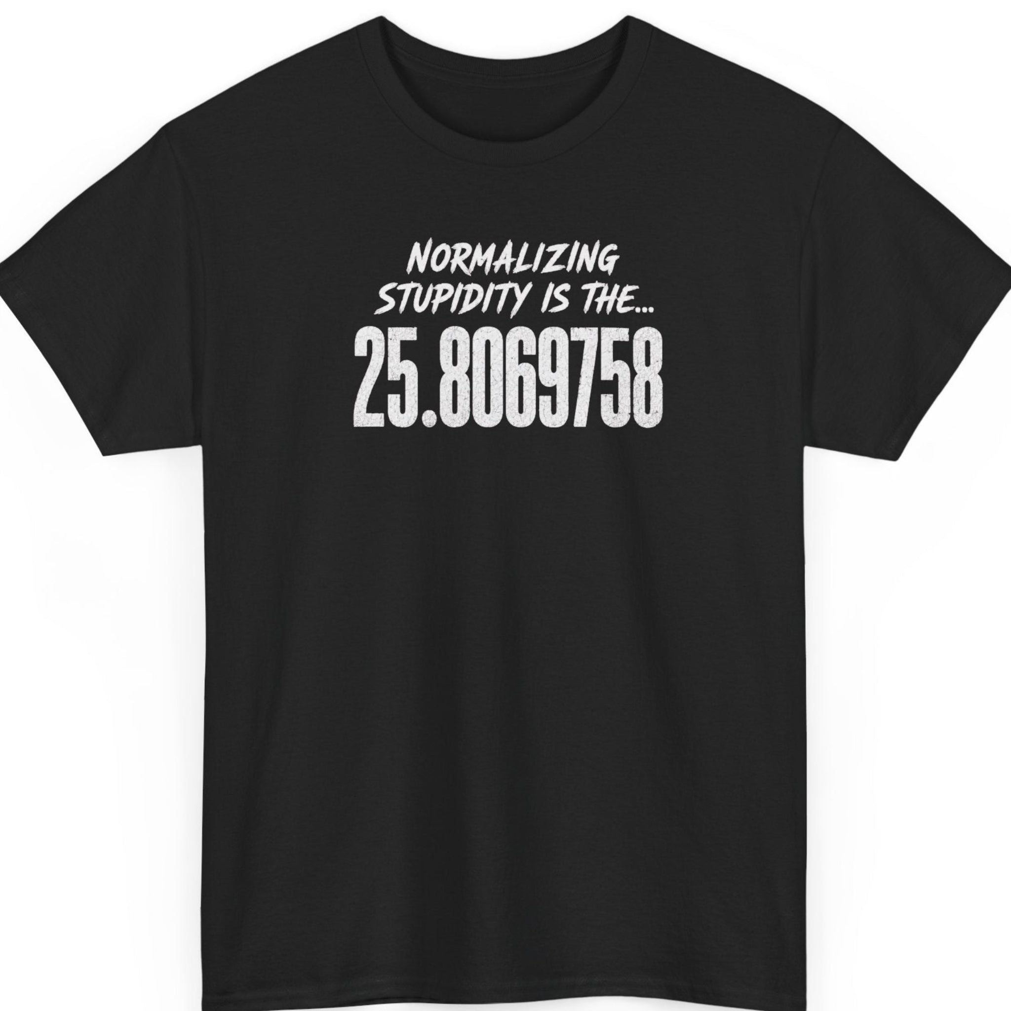 Mayhem Haus black t-shirt featuring distressed white typography reading "Normalizing Stupidity Is The... 25.8069758" centered on the chest in a bold minimalist design.