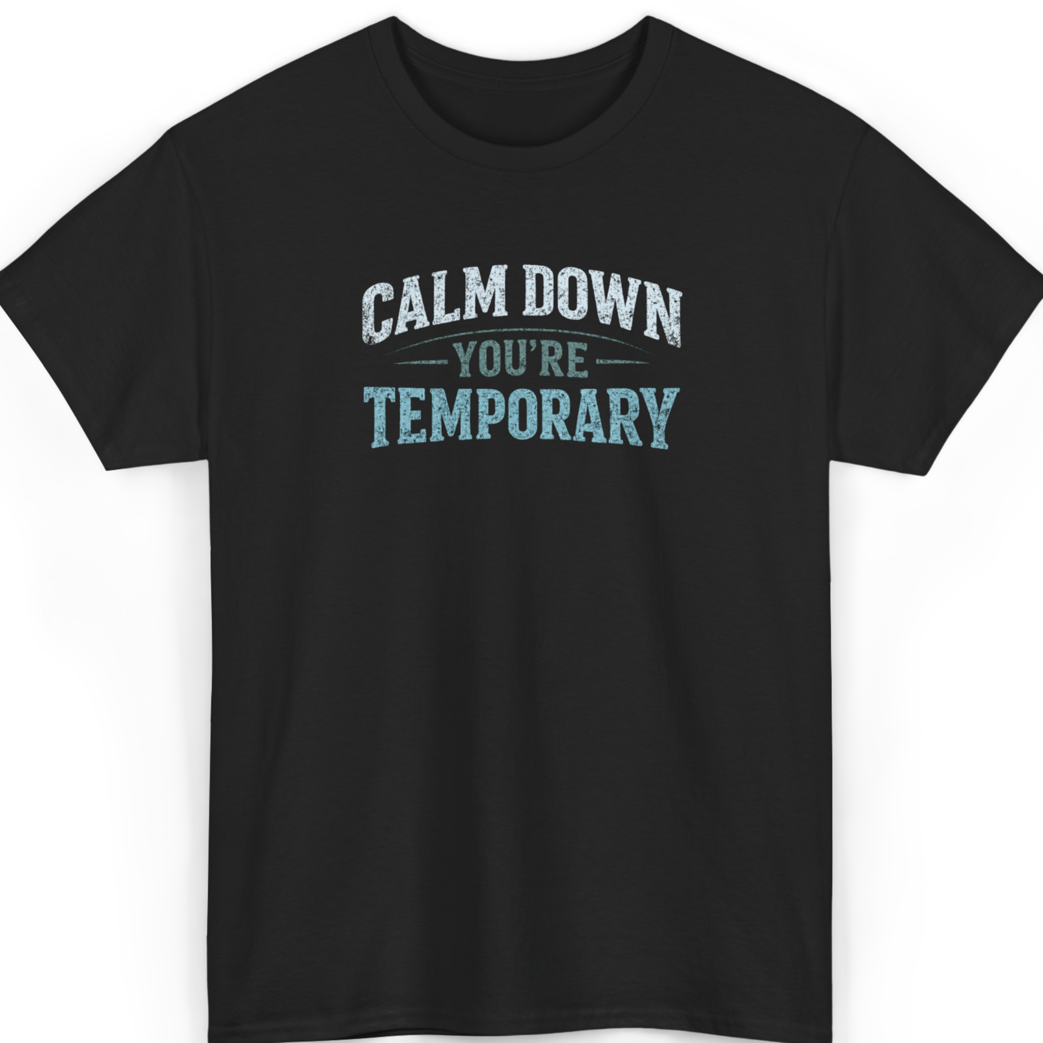 Black t-shirt with 'CALM DOWN YOU'RE TEMPORARY' text on a white background