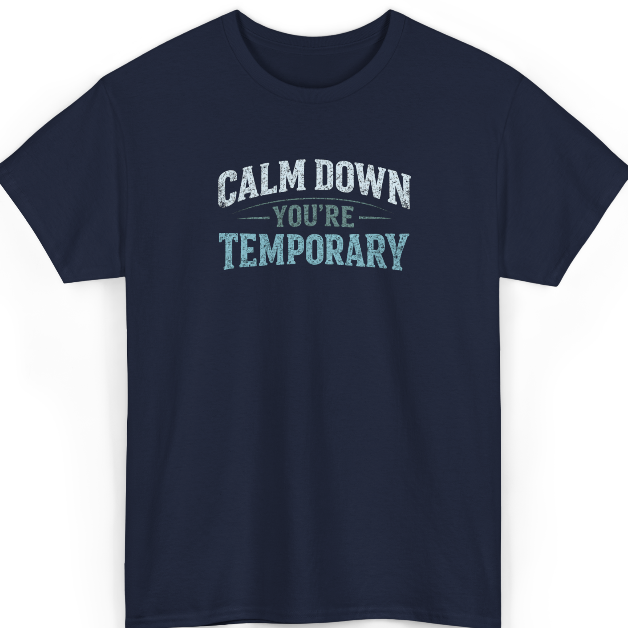 Calm Down You’re Temporary T-Shirt